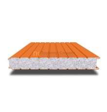 Сэндвич-панель для холодильных камер с пенополистиролом, ширина 1200 мм, толщина 20 мм, 0.5/0.5, RAL2004